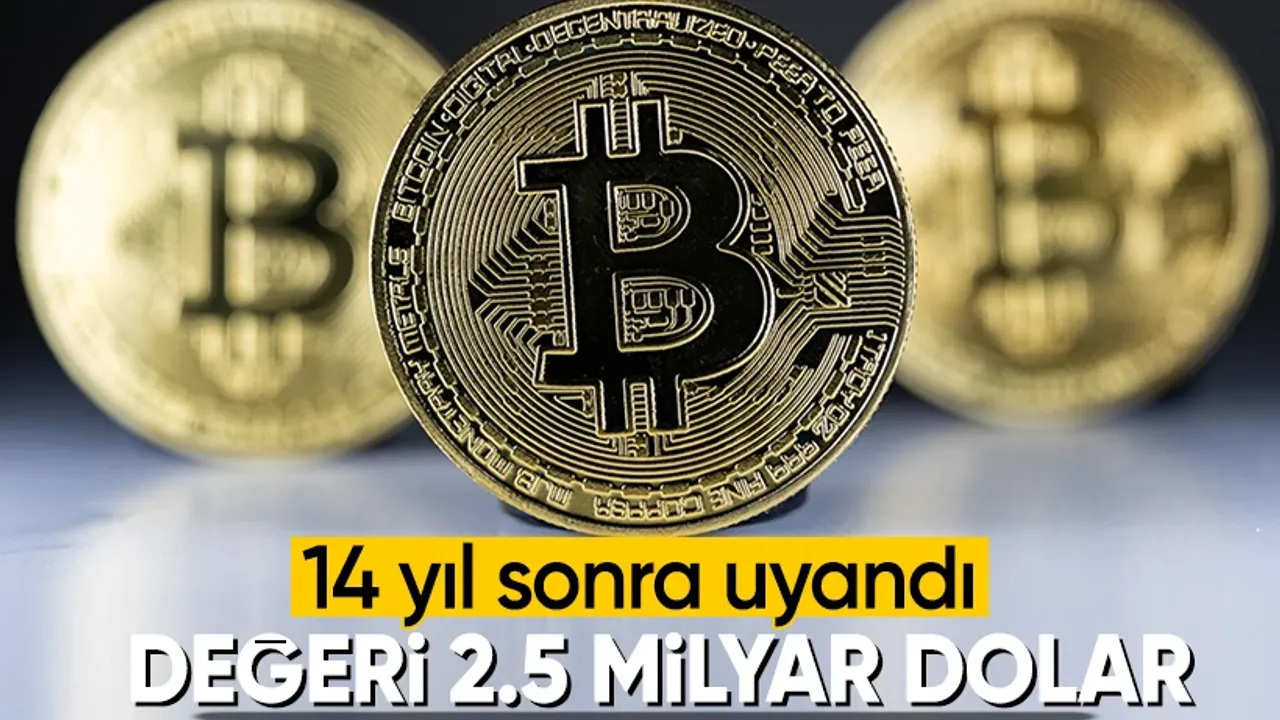 Bitcoin Balinası 14 Yıl Sonra Uyandı: 18 Bin Dolarlık Yatırım 2,5 Milyar  Dolar Oldu - Kamudanhaber İnternet Sitesi