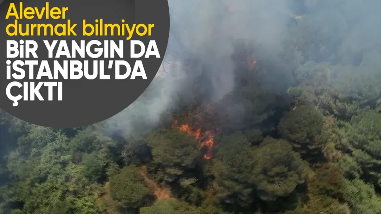 İstanbul Sultangazi Kent Ormanı’nda Yangın Paniği! Tahliyeler Başladı