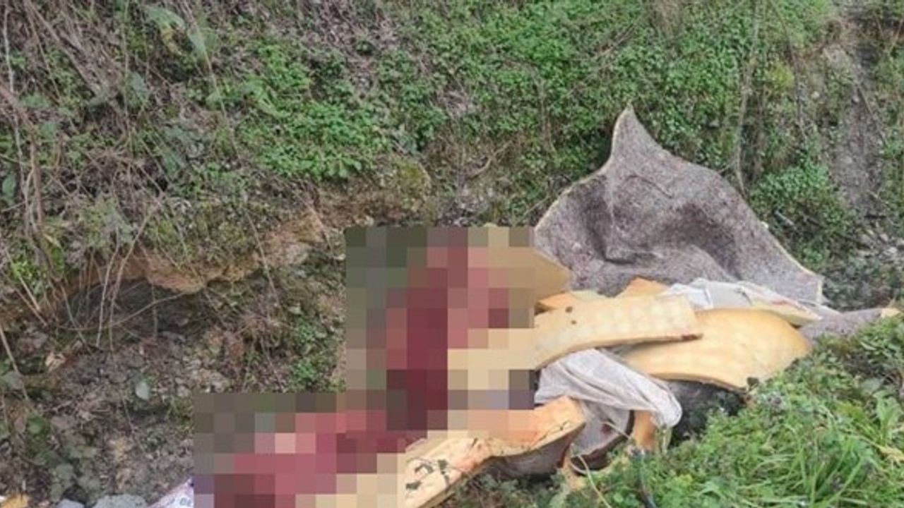 At Kesim Operasyonu! Otoyol Kenarına Atılan Kemikler Yasa Dışı Ağı Ortaya Çıkardı