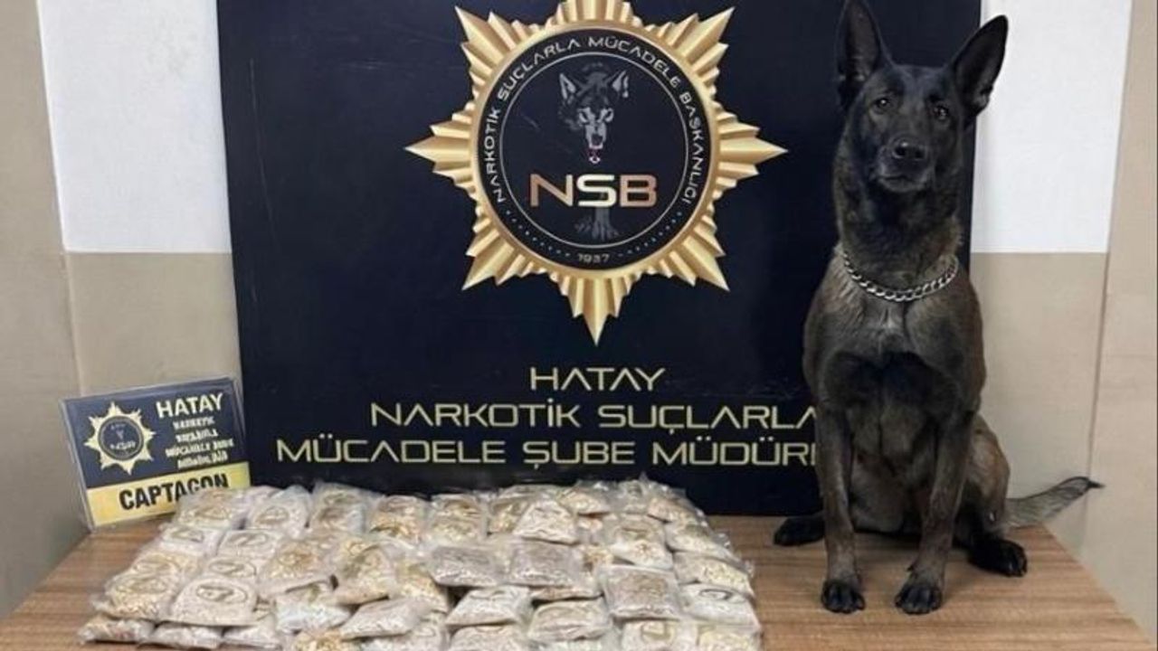 Hatay'da zeytinyağı tenekelerine gizlenmiş 100 bin uyuşturucu hap ele geçirildi