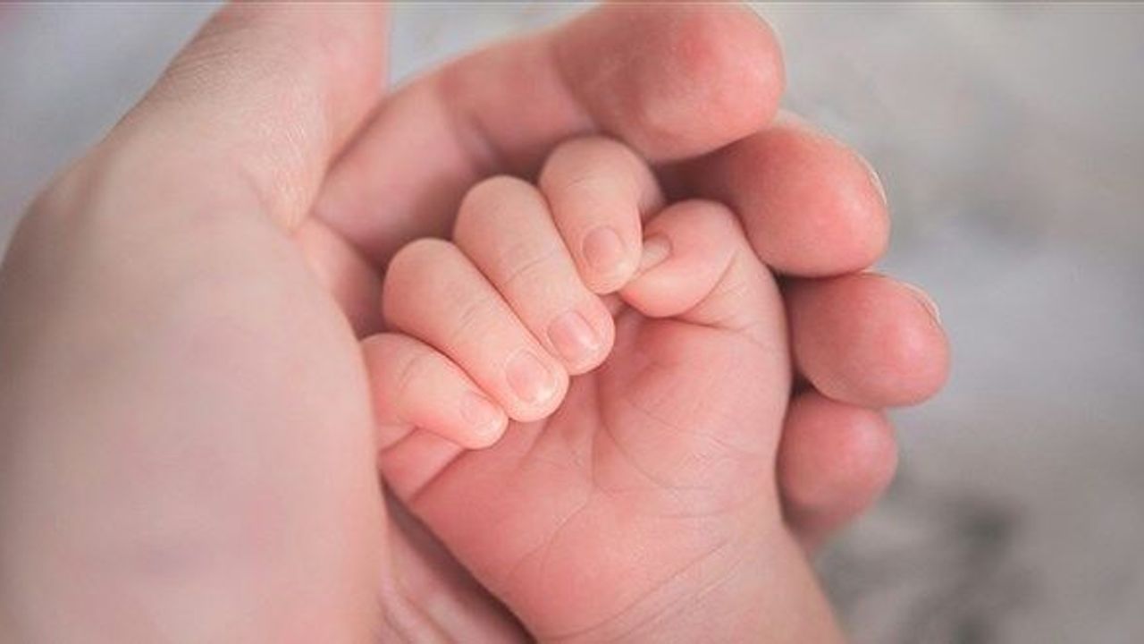 24 haftalık doğum izni için ek madde