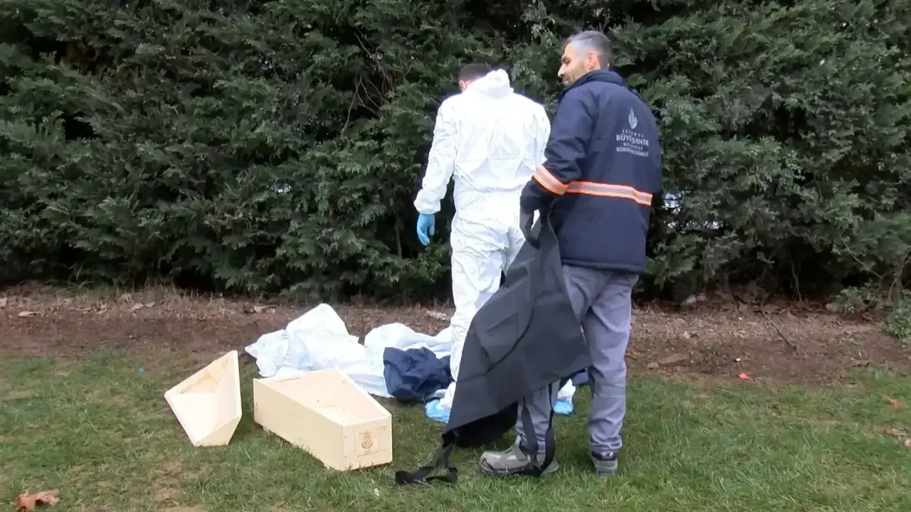 Sancaktepe’de acı olay: Yol kenarında yeni doğmuş bebek cesedi bulundu