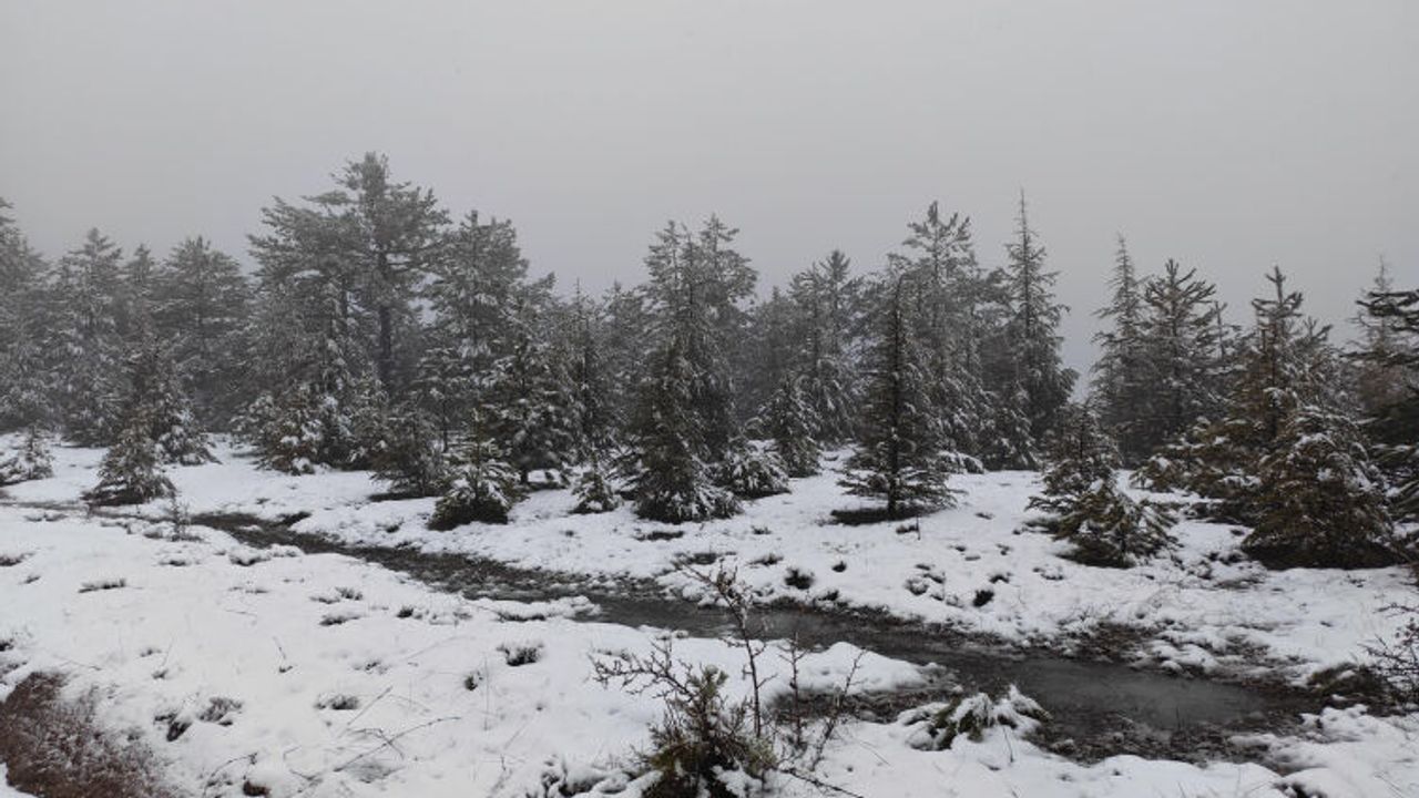 5 İlde Kar Yağışı Etkili Oldu! Yollar Kapandı, Uyarılar Peş Peşe Geldi