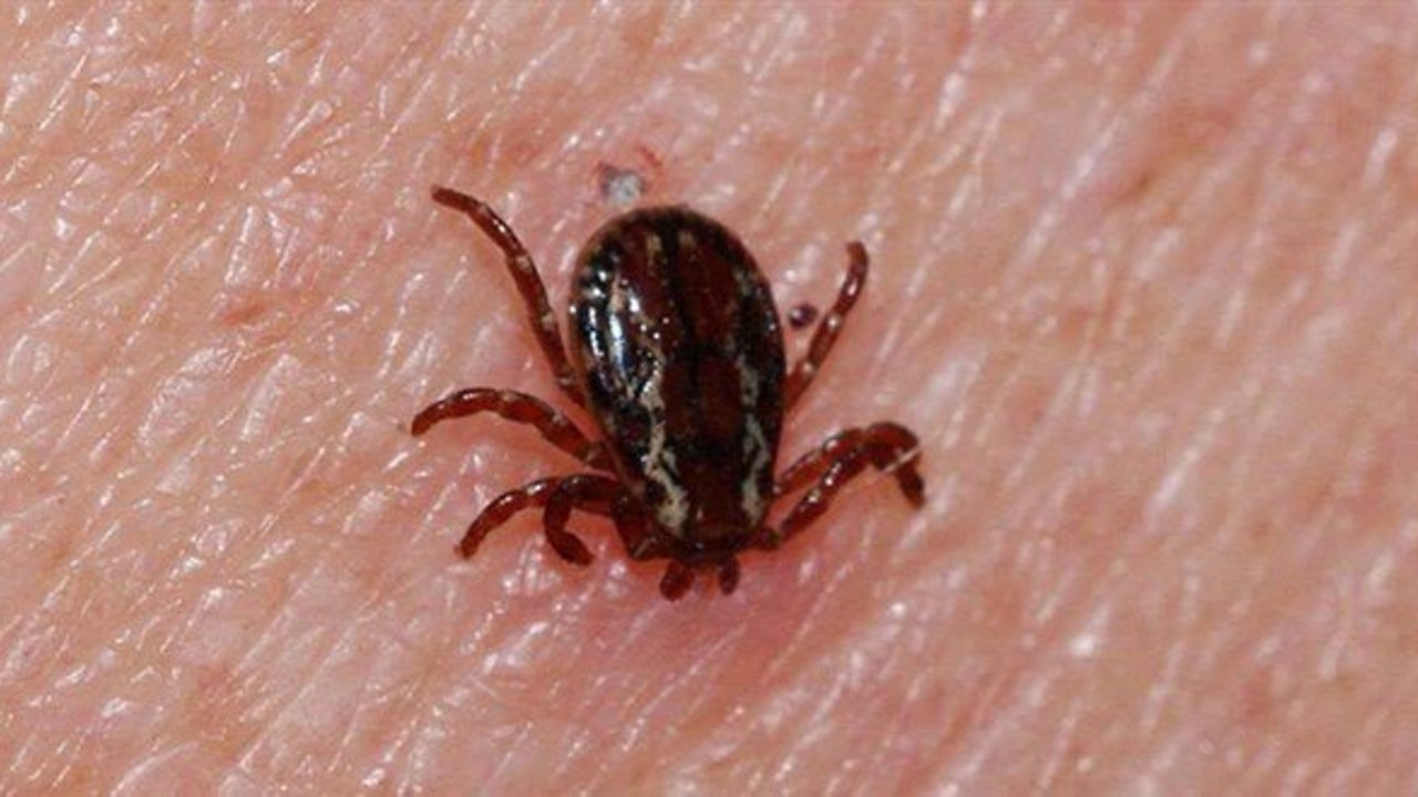 Kene kabusu geri döndü, 21 yaşındaki genç hayatını kaybetti