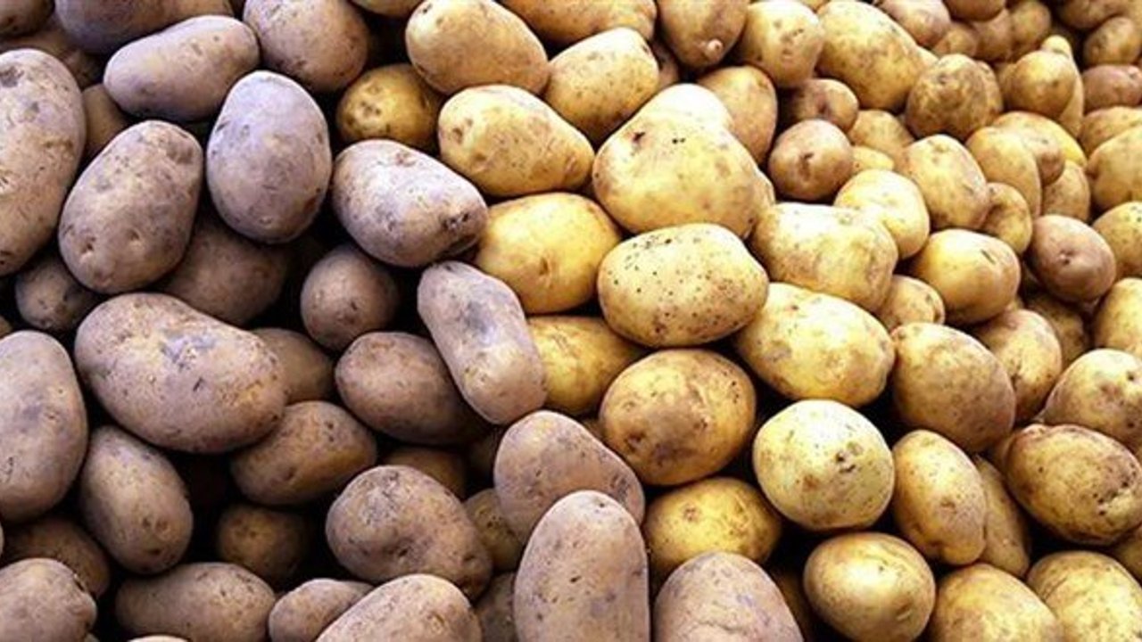 Tarladan 5 liraya çıkıyor, rafta 30 lirayı görüyor