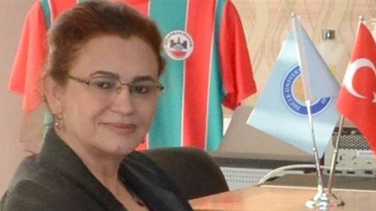 Suriye’den gelen yorgun mermi Mardin’de profesöre isabet etti