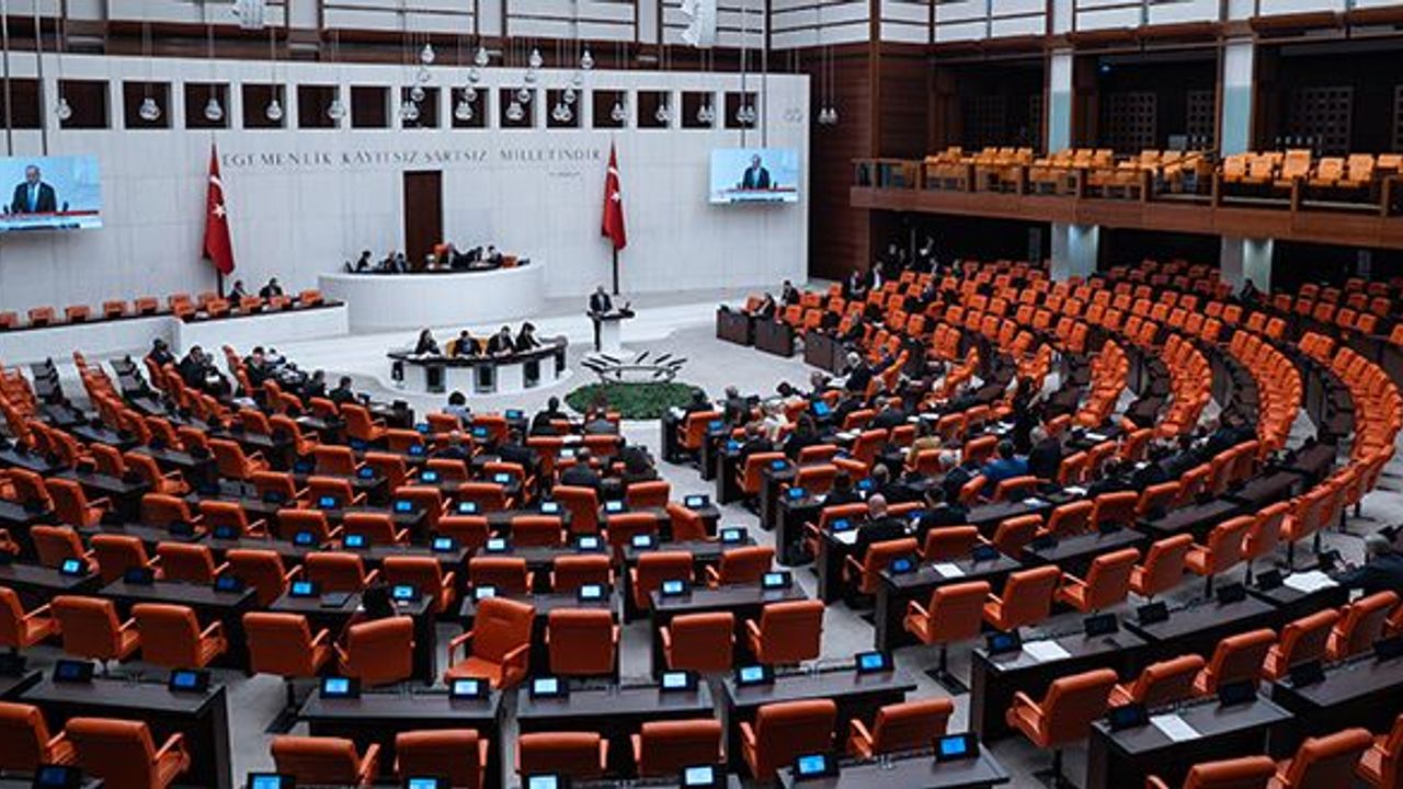 Meclise gelen talepler şaşırttı: 60 yaş üstüne yeşil pasaport istendi