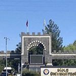 Dicle Üniversitesi Sözleşmeli Personel Alacak! İşte Başvuru Şartları