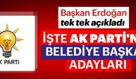 Son dakika: Cumhurbaşkanı Erdoğan AK Parti Belediye Başkan Adaylarını açıkladı! - Ak Parti 2019 Belediye Başkan adayları