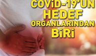 Covid-19'un hedef organlarından biri! Hayatını kaybedenlerin yüzde 30'unda bu hastalık görüldü