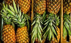 Ananas hakkında hiç bilmediğiniz 10 şey