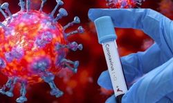 Türkiye'de koronavirüste son rakamlar! Tablo açıklandı