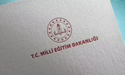 Ehliyet sınavları nasıl olacak? MEB ehliyet deneme sınavı sorularını yayınladı!