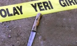 Aksaray'da 'baba' dehşeti: Eşini bıçakla, iki çocuğunu da balkondan atarak öldürdü