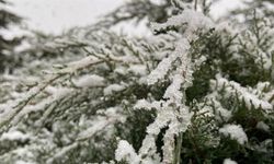 Meteoroloji ve Valilikten uyarı: Ankara'ya kar geliyor
