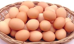 Türk yumurtalarında kanserojen madde iddiası! Ülke ayağa kalktı...