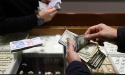 Japon ekonomistten korkutan dolar tahmini