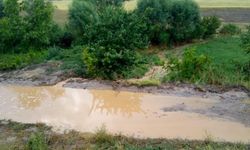 Afyonkarahisar'da yoğun yağış ulaşıma engel oldu