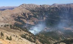 Adana'da iki orman yangını