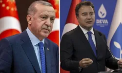 Cumhurbaşkanı Erdoğan'dan Babacan'a: Sen kimsin ya?
