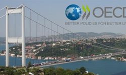 OECD, Türkiye'ye dair 2022 büyüme tahminini yükseltti