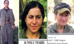 Diyarbakır'da 3 askerimizi şehit etmişlerdi! 4 yıl sonra aynı yerde öldürüldüler
