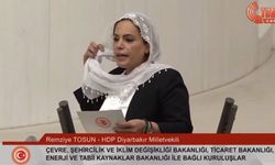 Sınır Ötesi Operasyonlar Durdurulsun Diye HDP'li Vekil Meclis Kürsüsünde Öyle Bir Şey Yaptı ki Herkes Şaşırdı
