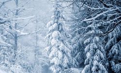 Meteoroloji duyurdu: İki bölgede kar yağışı bekleniyor