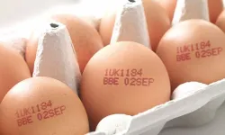 Yumurtanın üzerindeki kodlar ne anlama geliyor?