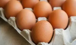 Yumurtada büyük tehlike! Eğer böyle tüketiyorsanız...