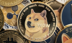 Elon Musk, Twitter'ın logusunu Doge Coin yaptı!