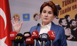 İYİ Partili isimden Meral Akşener'e istifa çağrısı