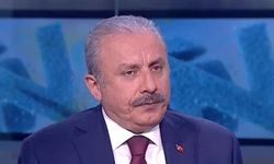 Şentop: Kılıçdaroğlu, Erdoğan'a desteğini açıklayıp Türkiye'yi rahatlatabilir