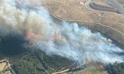 İzmir'de orman yangını: 6 uçakla müdahale sürüyor