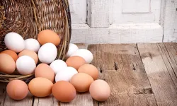 Yumurtayı böyle tüketiyorsanız bir daha düşünün! Vücutta oluşturduğu tahribat korkunç...