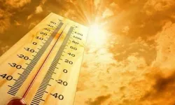 Yaz Aylarında Sıcaklık Rekorları Kırılıyor: Uzmanlar Uyarıyor, Sıcaklık Daha da Artacak!