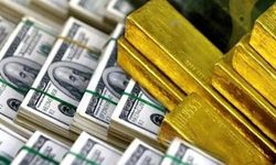 Yatırımcılara uyarı geldi: Dolar, borsa ve gram altın için yıl sonu analizi