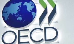 OECD, Türkiye İçin Enflasyon Tahminini Yükseltti ve Büyüme Tahminini Düşürdü!