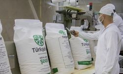Türkiye Şeker Fabrikaları'na 613 Geçici İşçi Alımı Yapılacak