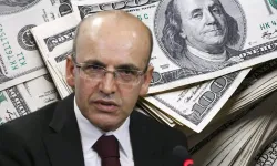 Mehmet Şimşek'ten kritik dolar açıklaması