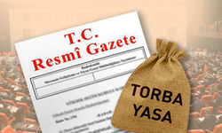 Hükümete yakın isim torba yasanın içeriğini açıkladı: Taşerona kadro, erken emeklilik, kredi...