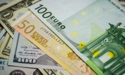 Yeni Güvenli Liman Euro Mu?