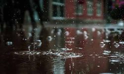 Meteoroloji İki İl İçin 'Kuvvetli Yağış' Uyarısında Bulundu