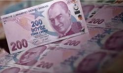 Hafize Gaye Erkan İmzalı Yeni 200 TL Banknotlar Tedavülde