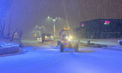 Van'da Zor Şartlar, Kar 138 Yolun Ulaşımını Kapattı