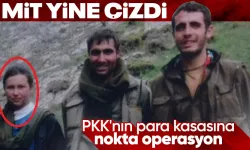 PKK'nın Para Trafiğini Yürüten Remziye Altığ Etkisiz Hale Getirildi