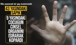 Ankara'da korkunç olay! 43 yaşındaki sapık 9 yaşındaki çocuğun cinsel organını ısırarak kopardı