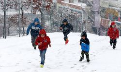 Bitlis'te Kar Engeli: Okullar Tatil Edildi