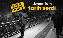 Meteoroloji uzmanı Orhan Şen İstanbul'da beklenen kar yağışı için tarih verdi