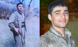 MİT'ten, PKK'ya operasyon: Eylem hazırlığında olan terörist yakalandı